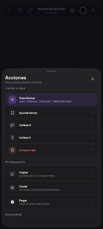 Hoja Acciones con Transformar, Ajustar lienzo, Voltear y el portapapeles